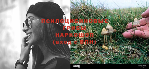 спайс Горно-Алтайск