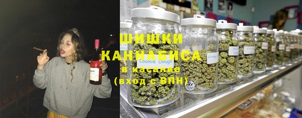 МДПВ Горнозаводск